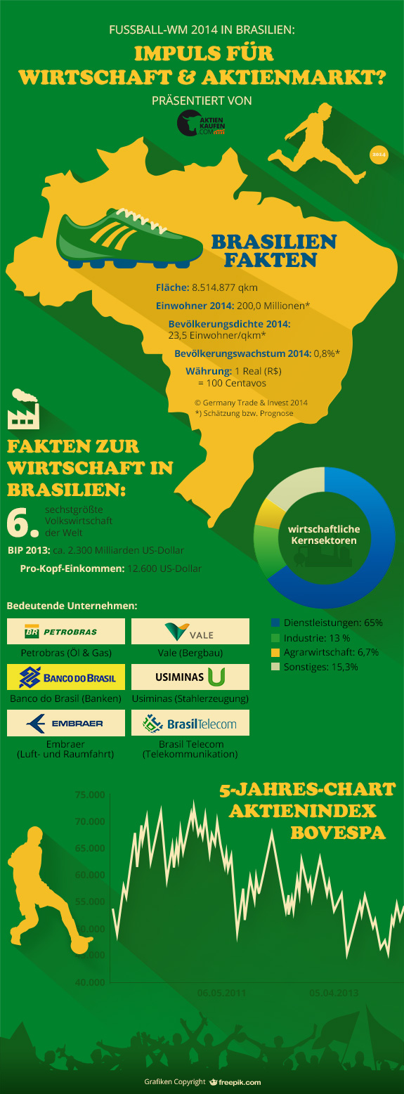 fussball wm 2014 brasilien wirtschaft